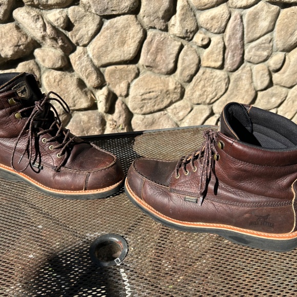 Irish Setter Wingshooter - Picture 5 of 7